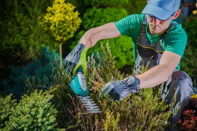 landscaping services North Lewisburg
